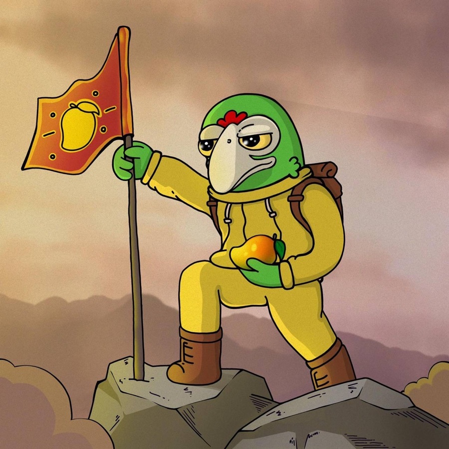 The Mango parrot planting a flag